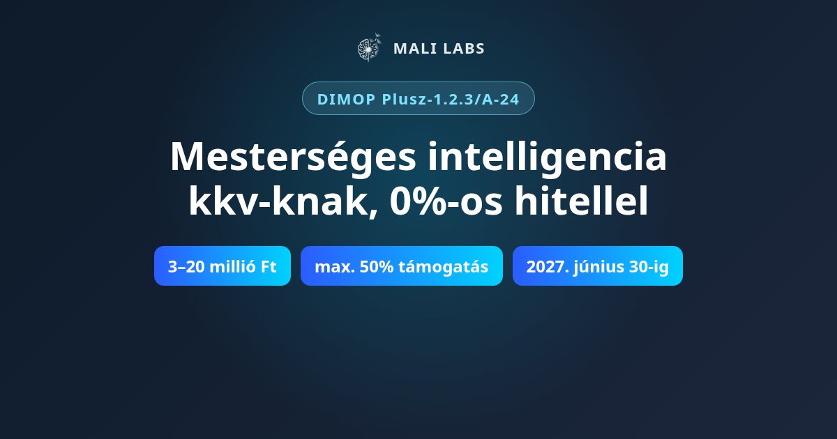 DIMOP Plusz-1.2.3/A-24: mesterséges intelligencia kkv-knak, 0%-os hitellel és legfeljebb 50% támogatással